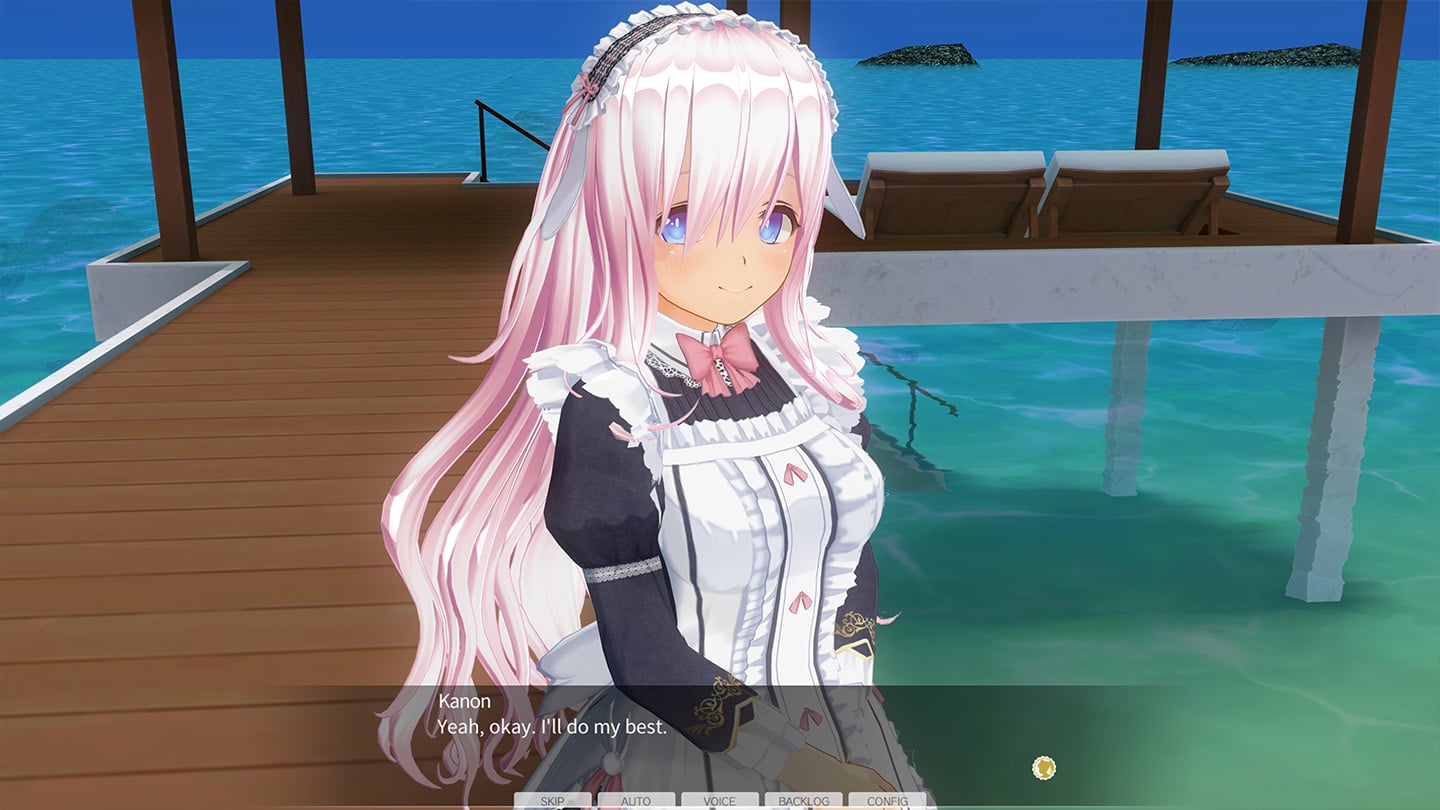 Custom Order Maid 3D 2 & 2.5+ X1+Vol.02