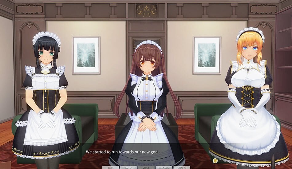 Custom Order Maid 3D2