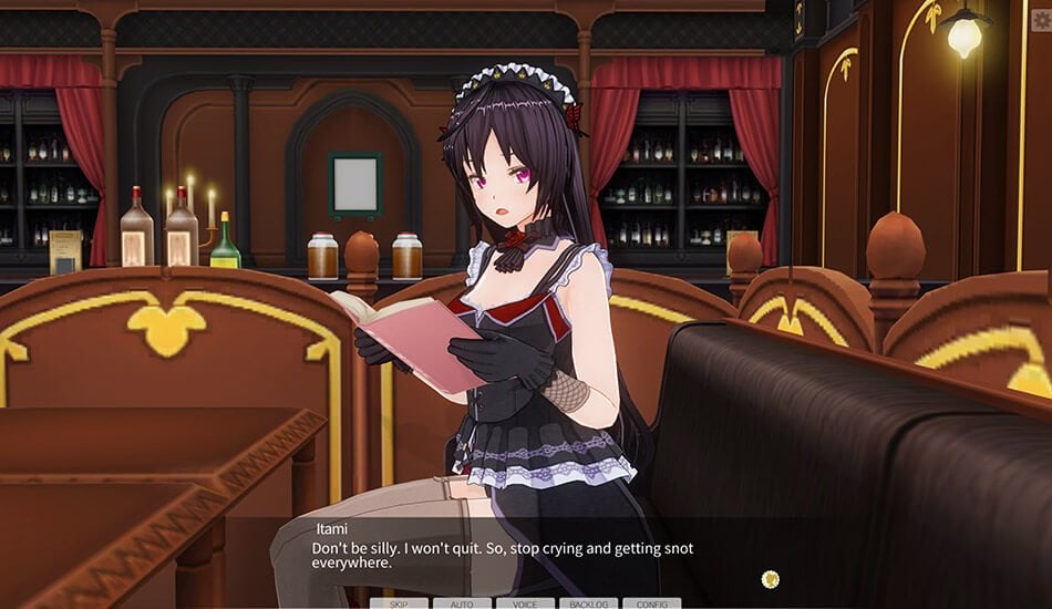 Custom Order Maid 3D2: Extreme Sadist Queen DLC