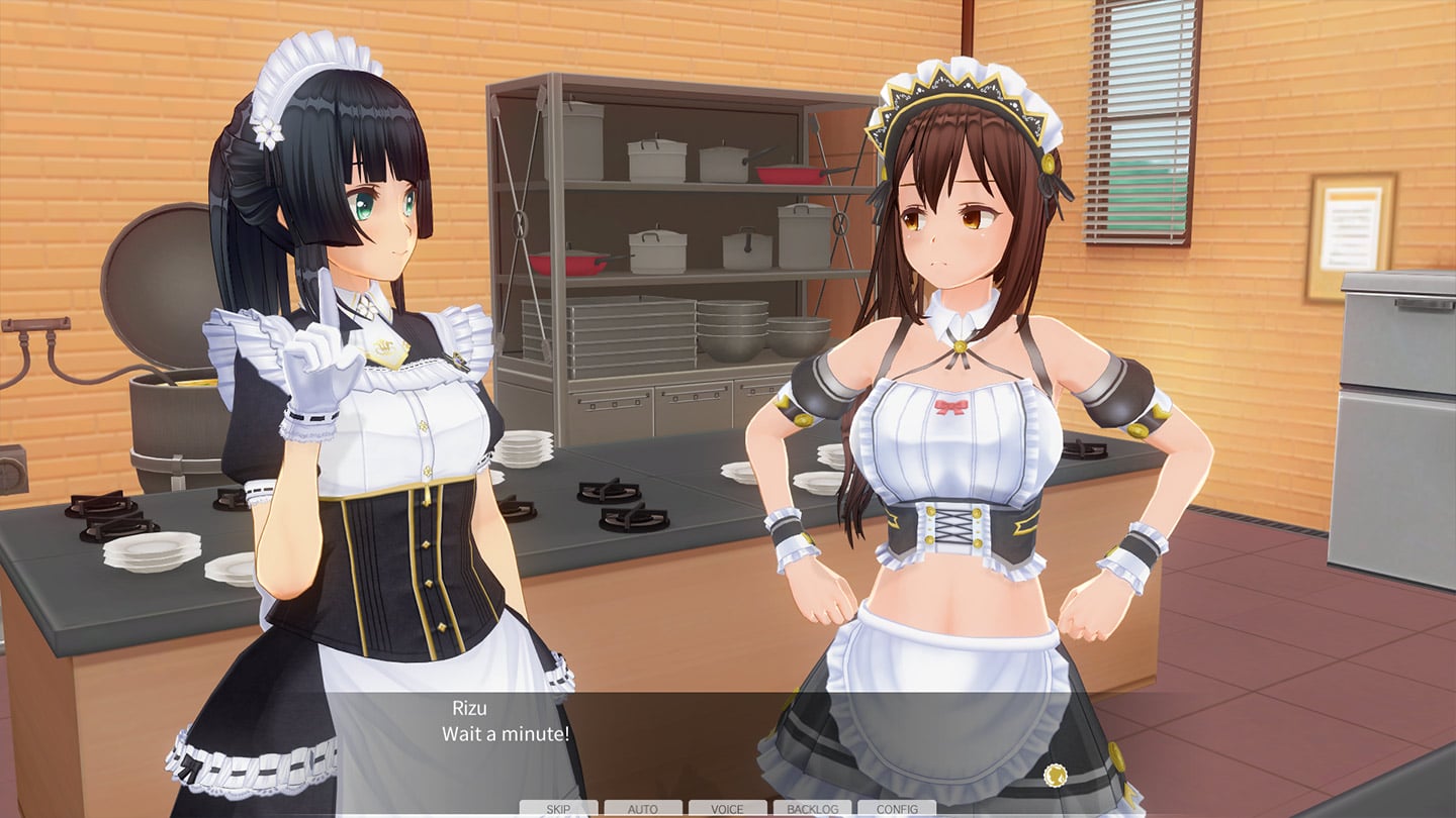 Custom Order Maid 3D2: Friendly and Slightly Naughty Woman Complete Bundle