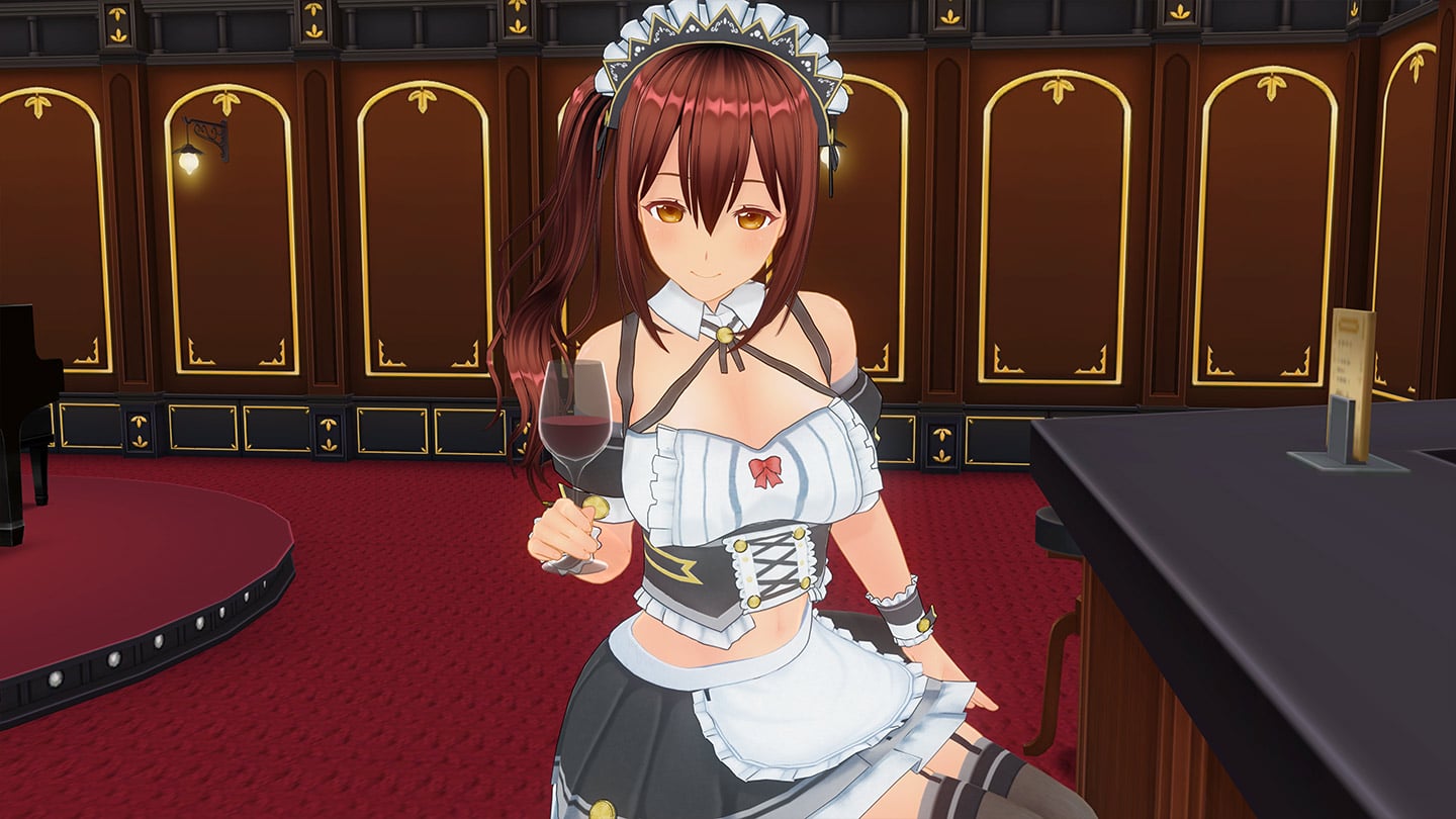 Custom Order Maid 3D2: Friendly and Slightly Naughty Woman DLX Edition