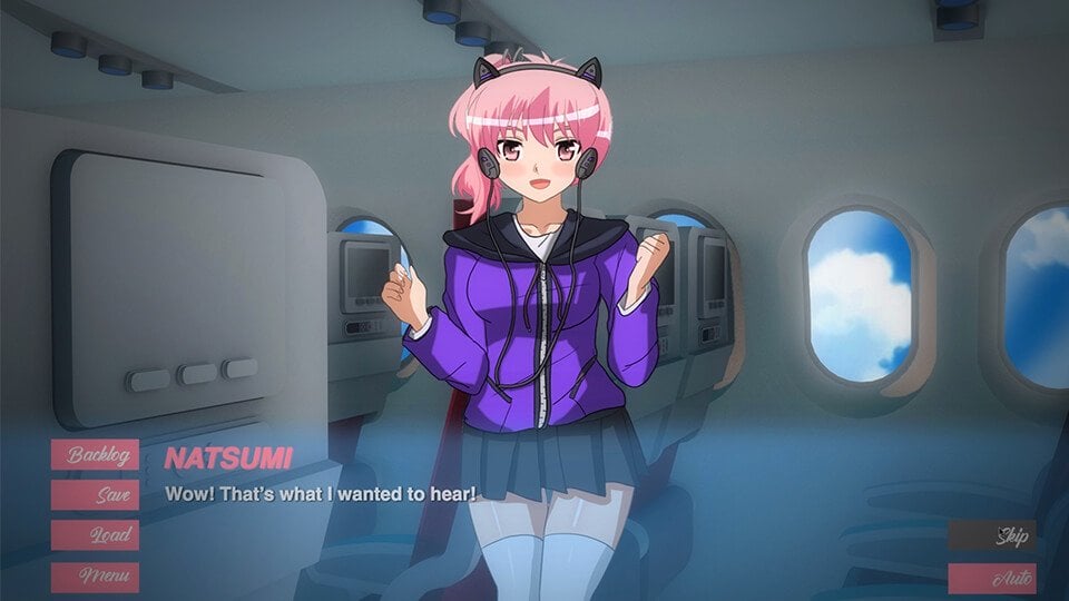 Pleasure Airlines